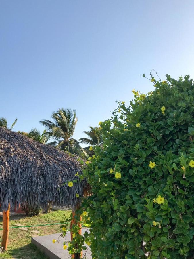 Pousada Aruna Kite Barra Grande  Exterior photo